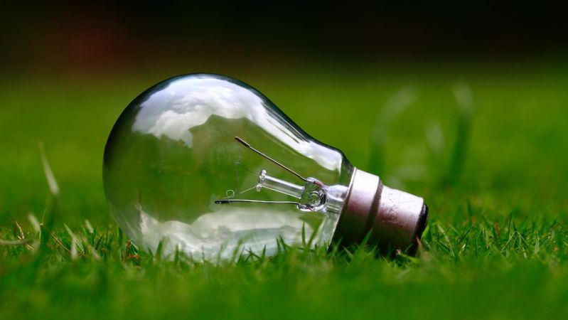 net zero strategy for business