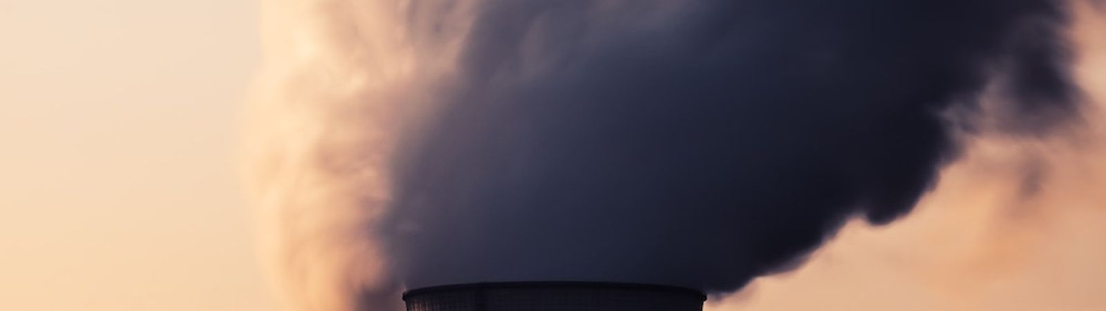 how to measure carbon footprint of a business