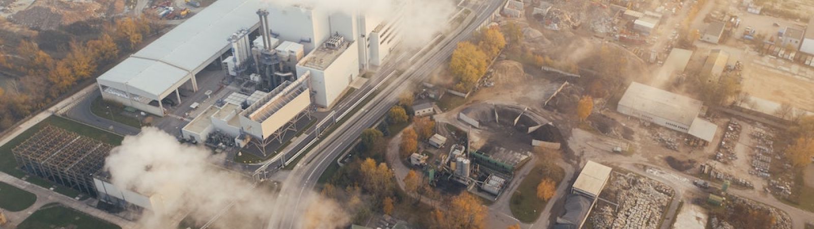 reduce carbon footprint in business