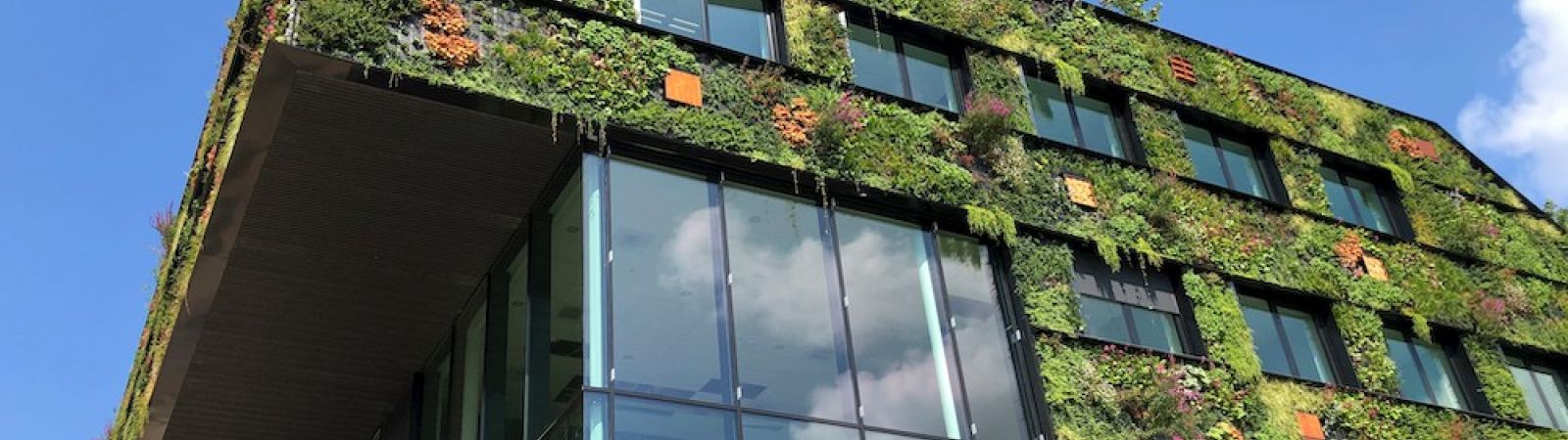 net zero building
