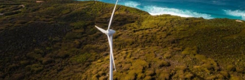 IEA_Renewable_deployment_helped_limit_rise_in_carbon_emissions